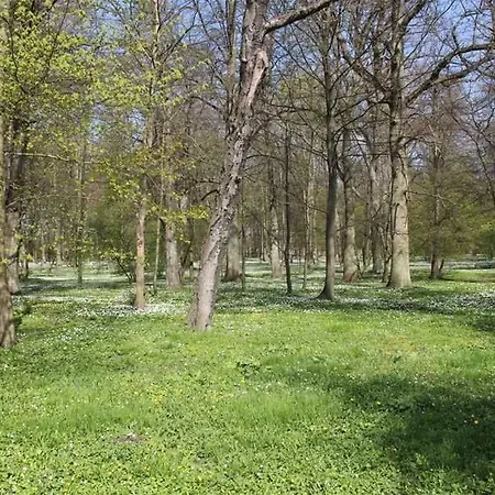 Apartment Ferienhaus Breege Rueg 2051 Altenkirchen (Mecklenburg-Vorpommern)